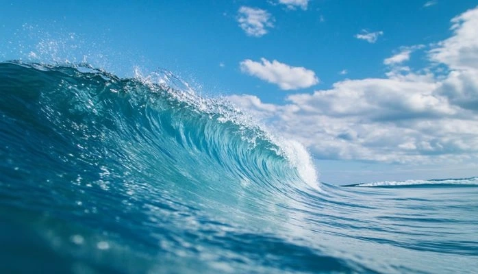 Entrée en vigueur du traité sur la haute mer le 17 janvier 2026