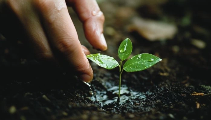 « Polluants éternels » dans l’eau du robinet : vers une augmentation des cas ?